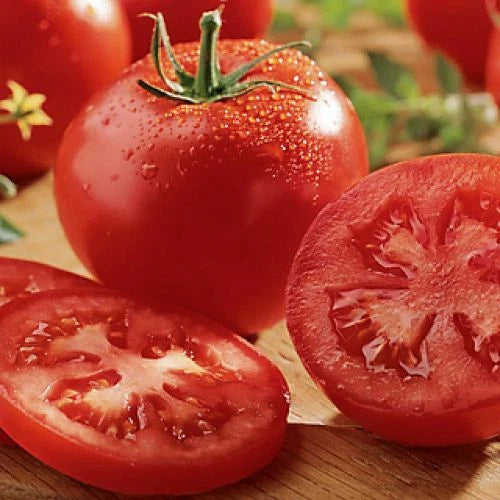 Celebrity Tomato Seeds - F1 Hybrid, Non-GMO, Heirloom Variety, Perfect for Home Gardening, Solanum lycopersicum