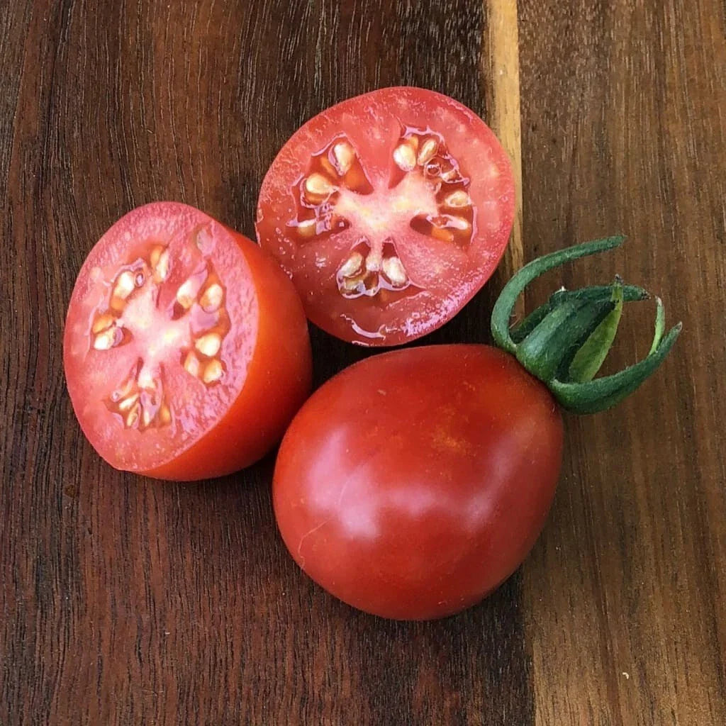 Napoli Tomato Seeds - 10+ Heirloom Organic NON-GMO - Solanum lycopersicum - Fresh Gardening Seeds
