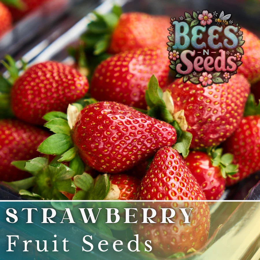 Crimson Treat Strawberry Seeds - Non-GMO Flower Seeds - 150 Seeds - Fragaria × ananassa