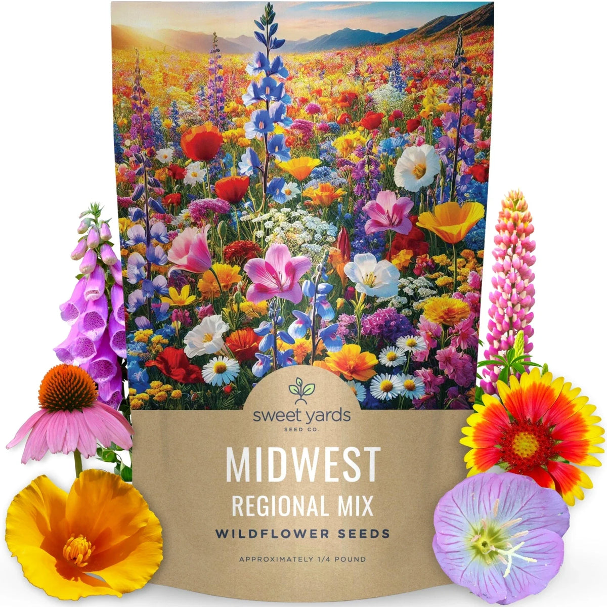 Wildflower Seed Mix Bulk 1/4 Pound - Midwest Regional Variety - 60,000 Flower Seeds for Planting