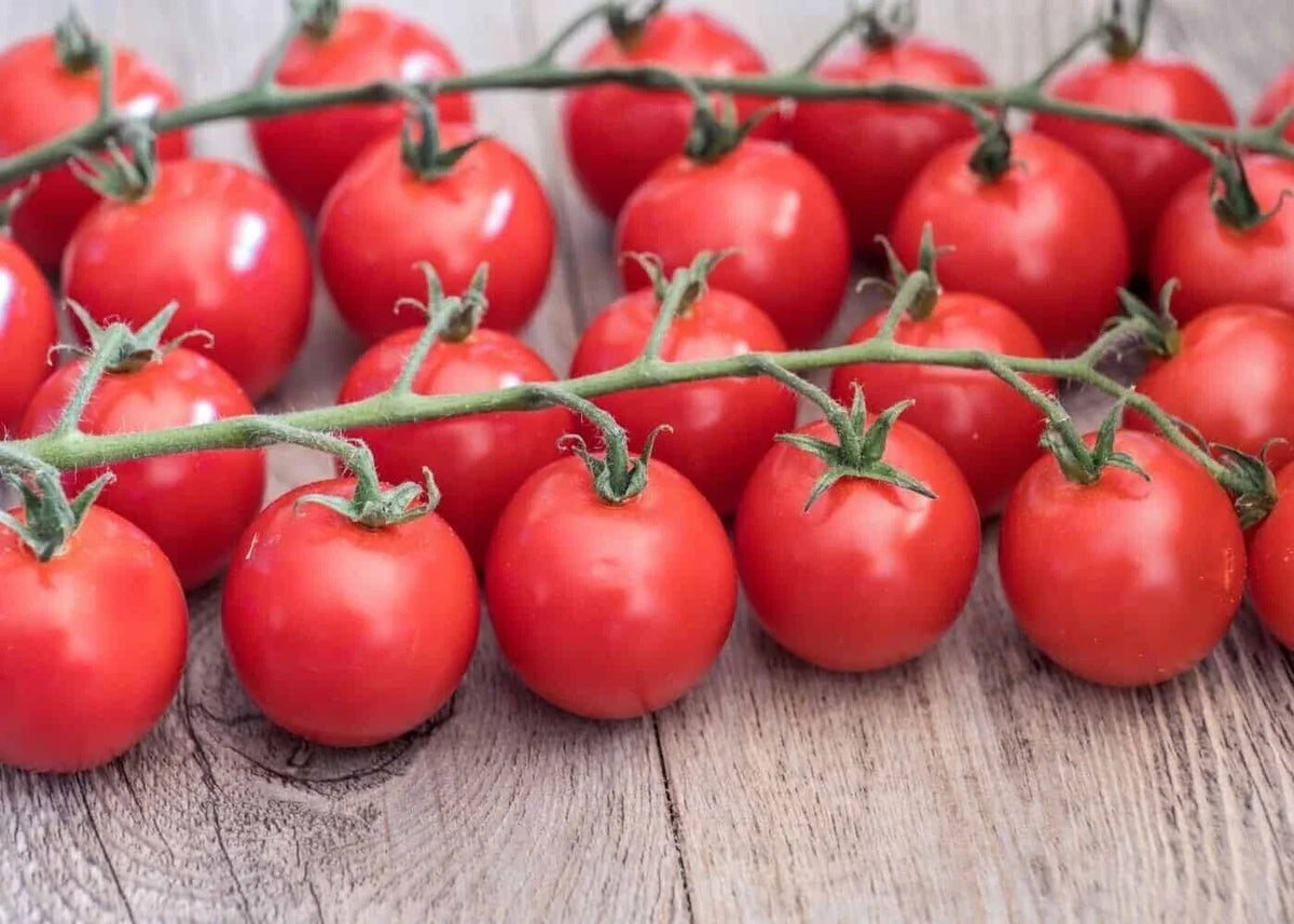 Sweetie Cherry Tomato Seeds - 120+ Heirloom Organic Seeds - Perfect for Home Gardening, Solanum lycopersicum