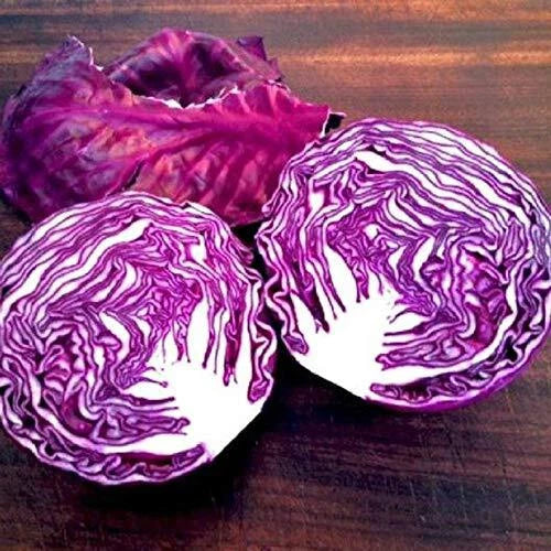 Red Acre Cabbage Seeds - 250+ Seeds - Heirloom Variety - Brassica oleracea - Made in USA, Ships from Iowa