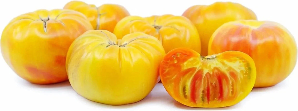 Pineapple Tomato Seeds - 30+ Heirloom Organic Non-GMO - Rare Variety - Perfect for Home Gardening