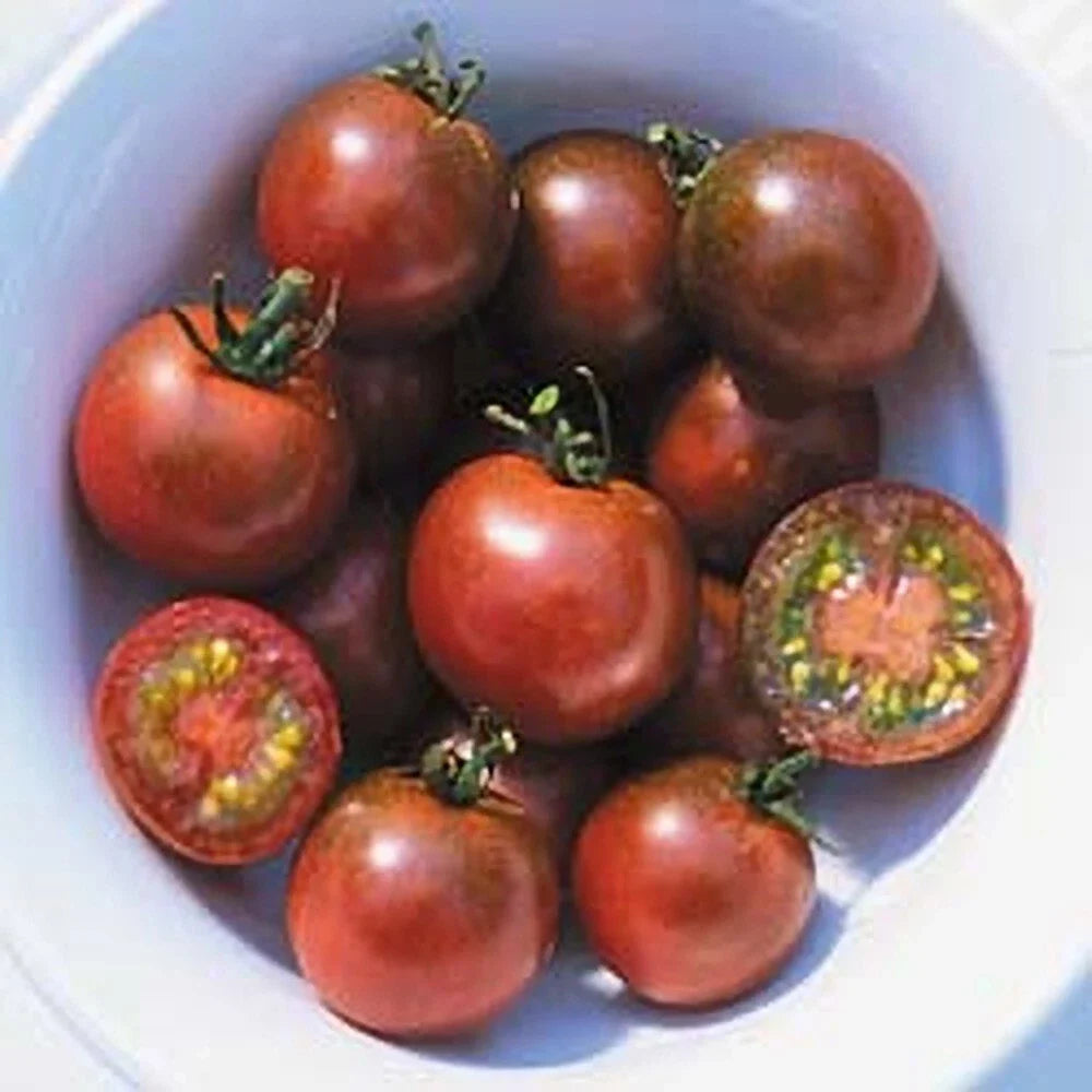 Brown Berry Tomato Seeds - 30+ Heirloom, Non-GMO, Organic - Rare Variety for Home Gardening - Solanum lycopersicum