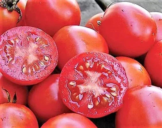 Siberian Tomato Seeds - Organic Heirloom - 30+ Fresh Seeds - Lycopersicon esculentum