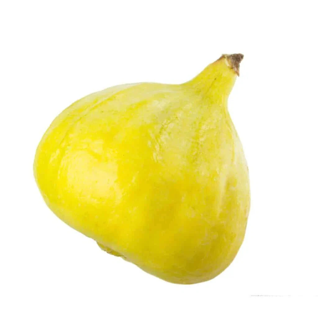 Desert King Fig Seeds - 100+ Count for Garden Planting - Ficus carica - USA Grown - Fast Shipping