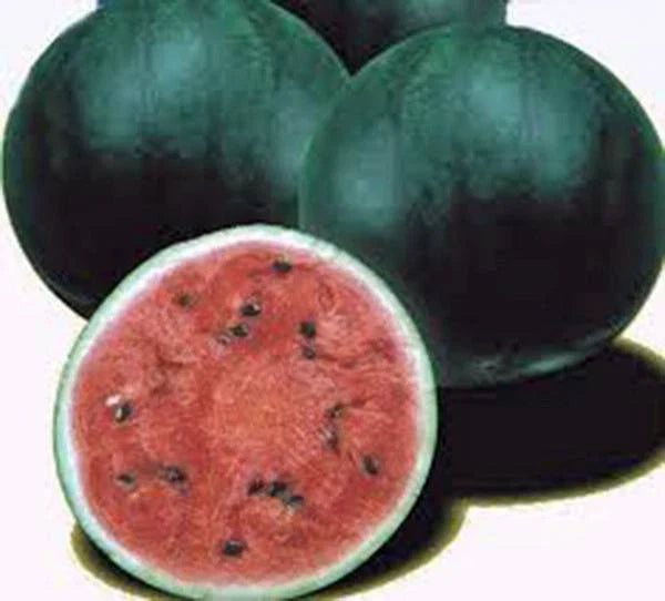 Watermelon Seeds, 100 Count, Sugar Baby Heirloom, Non-GMO, Watermelons, Citrullus lanatus