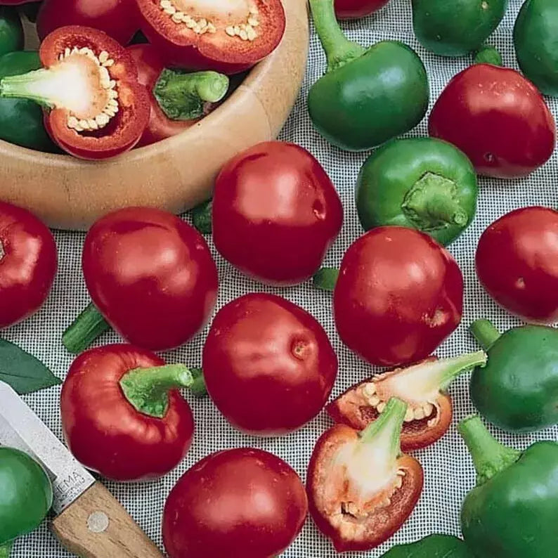 Red Cherry Hot Pepper Seeds - 30+ Non-GMO Heirloom Organic - Pimenta