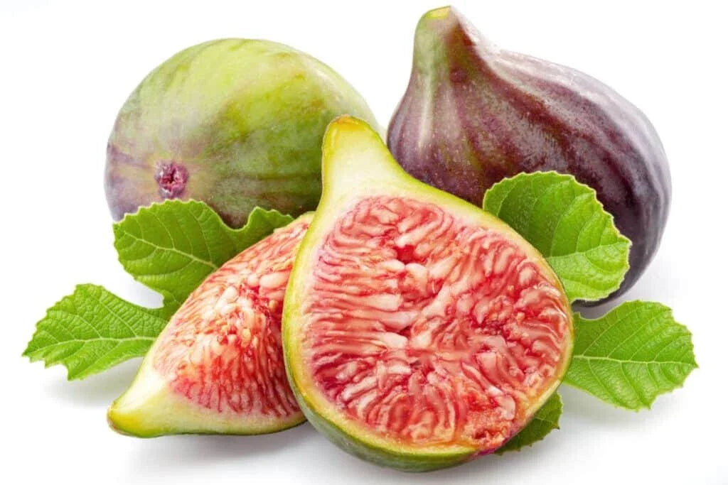 Celeste Fig Seeds - 100 Count for Garden Planting - Ficus carica - USA Grown - Free Shipping