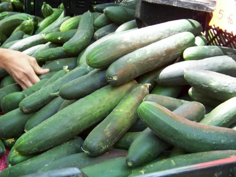 Straight Eight Slicing Cucumber Seeds 100+ Count - Cucumis sativus - Heirloom Variety for Home Gardening