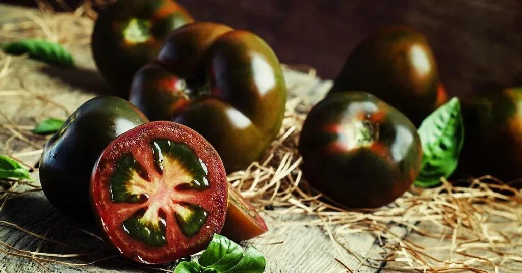 Black Truffle Tomato Seeds - 10+ Heirloom Organic Non-GMO - Rare Variety - Perfect for Home Gardening