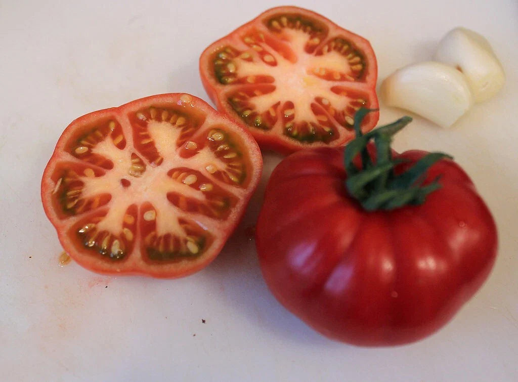 Sub Arctic Plenty Tomato Seeds - Organic Heirloom - NON GMO - 10+ Seeds - Fast Growing Variety - Perfect for Short Seasons