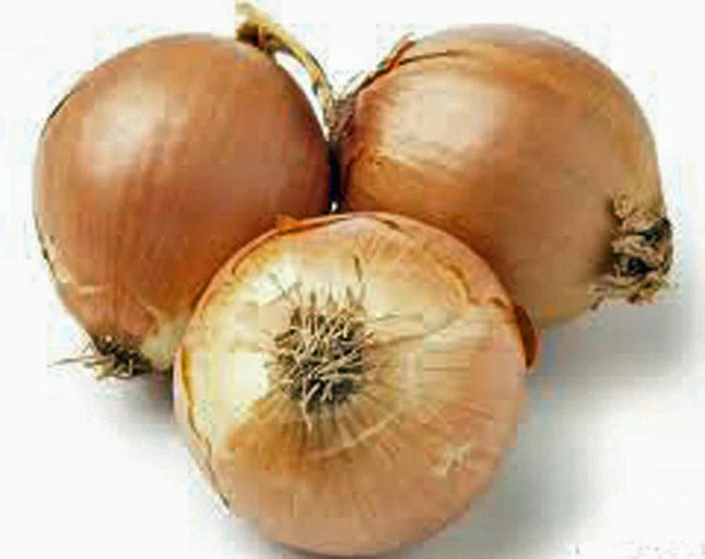 Spanish Yellow Onion Seeds, Heirloom, Sweet Flavor, 25+ Seeds, Perfect for Cooking, Allium cepa