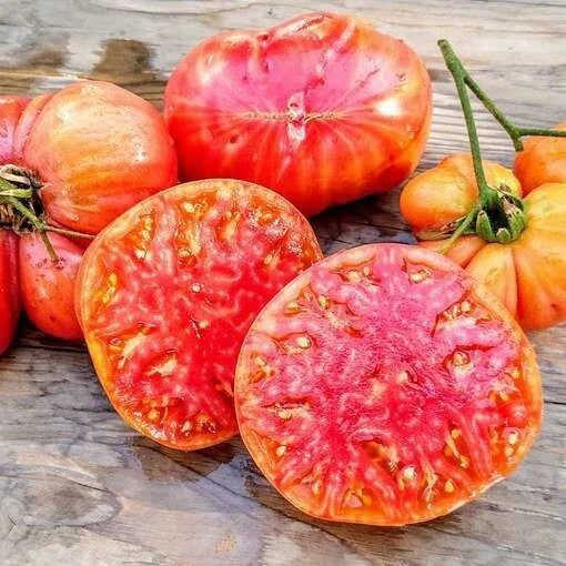 Heirloom Hillbilly Tomato Seeds - 30+ Organic Non-GMO Rare Seeds - Perfect for Home Garden - Solanum lycopersicum