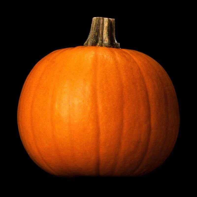 Spooky Pumpkin Seeds - 20 Pack - Non-GMO Heirloom Organic Garden Seeds - Cucurbita pepo