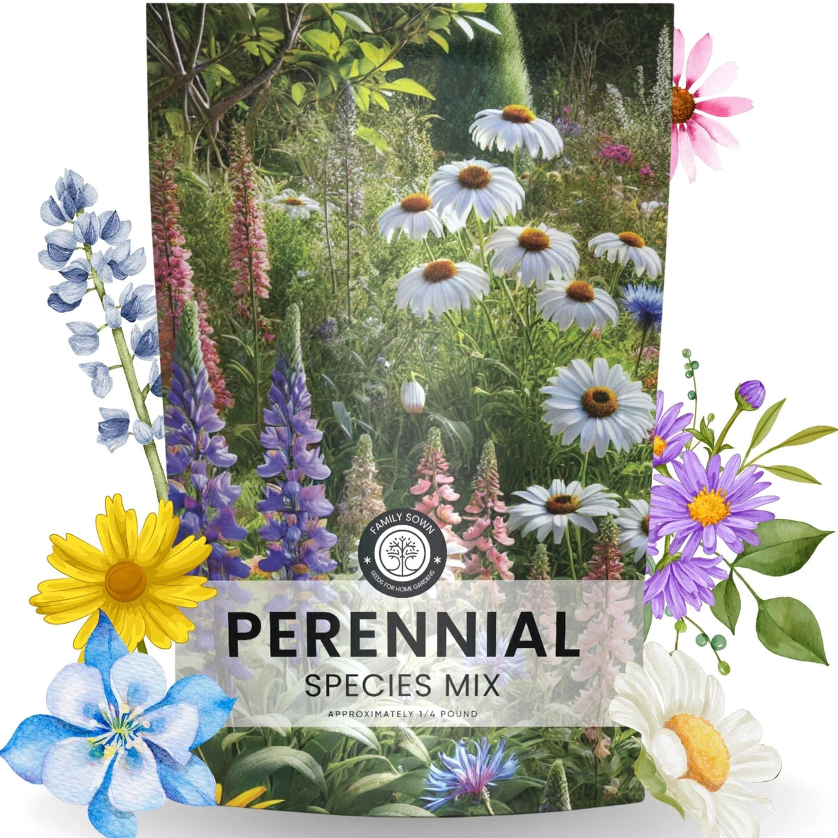 Perennial Wildflower Seed Mix Bulk 1/4 Pound - 60,000 Seeds for Planting - Native Flower Varieties