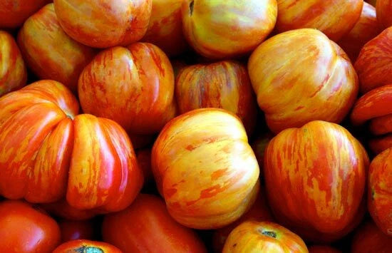 Old German Tomato Seeds - Fresh Heirloom Seeds for Home Gardening - Lycopersicon esculentum