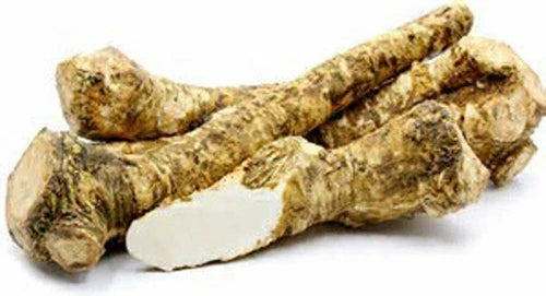 Fresh Horseradish Root 4 oz - Whole for Eating & Planting - Armoracia rusticana - Locally Sourced from Illinois