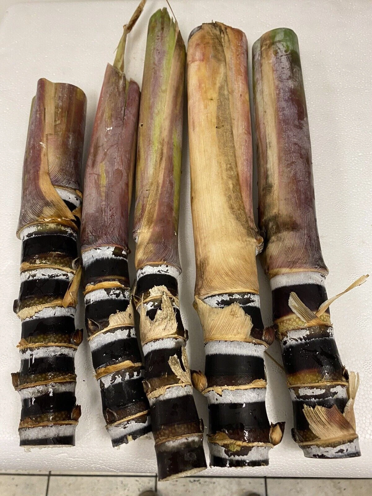 Black Soft Chew Sugar Cane Cuttings Unrooted Live Saccharum Officinarum for Planting