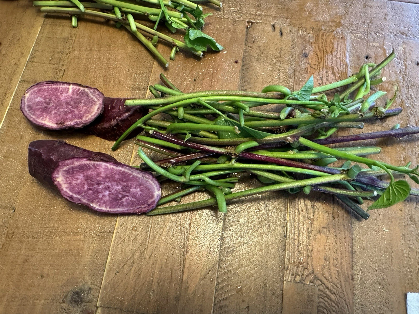 Japanese Molokai Purple Sweet Potato Slips Ipomoea Batatas 25 Slip Cuttings For Planting