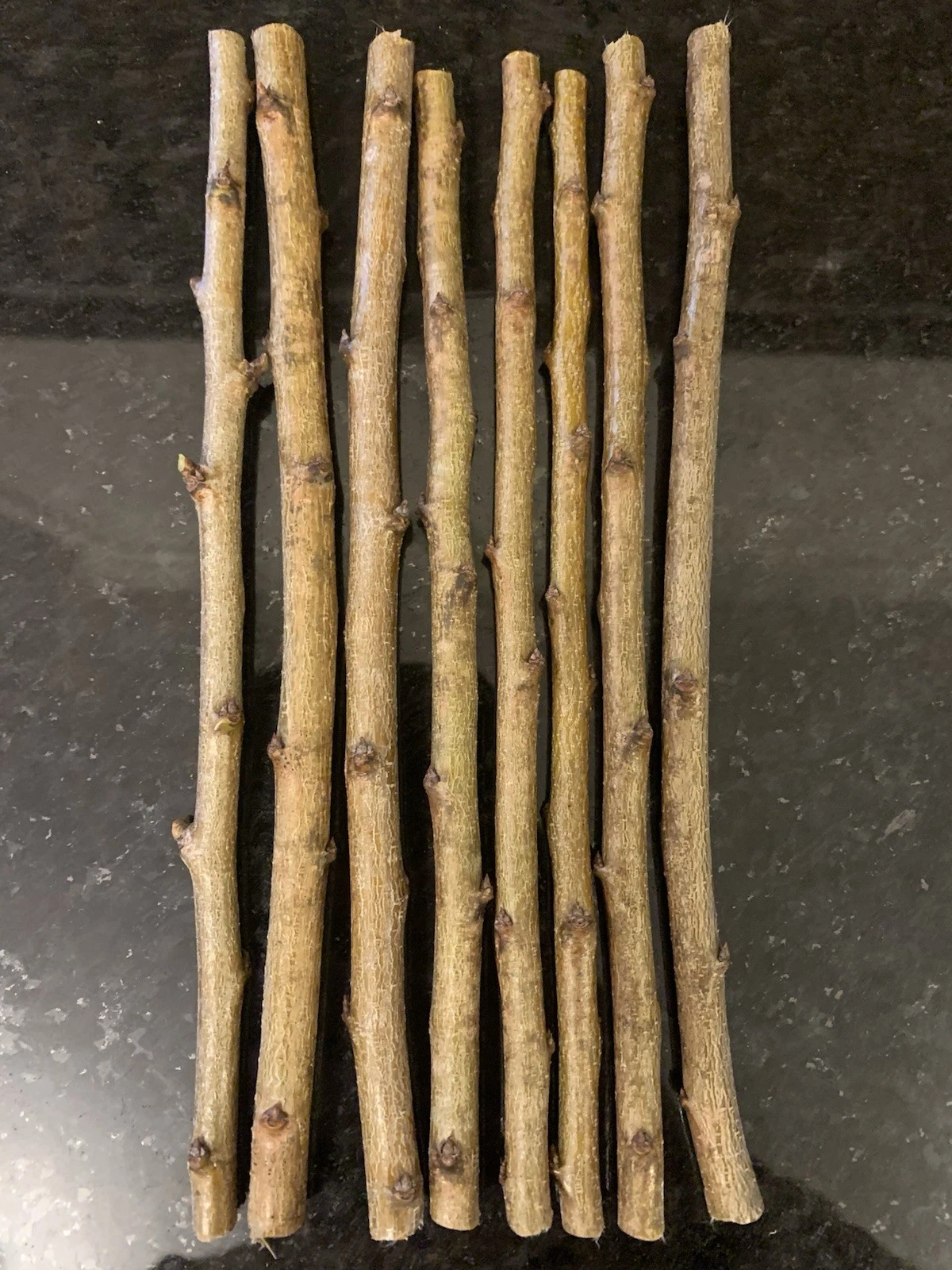 3 Methley Plum Cuttings Scions Prunus Salicina Unrooted for Grafting Fruit Tree Propagation