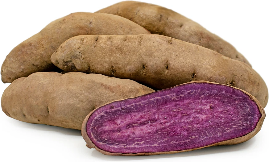 Stokes Purple Sweet Potato Slips for Planting – 10 Rooted Ipomoea batatas Cuttings Ready to Plant