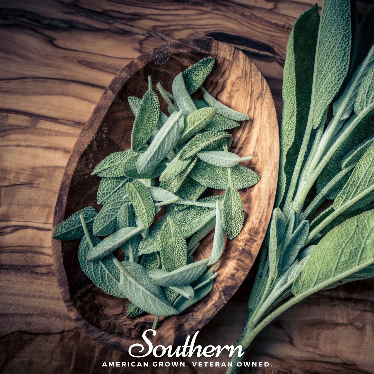 Extrakta Sage – 30 Seeds