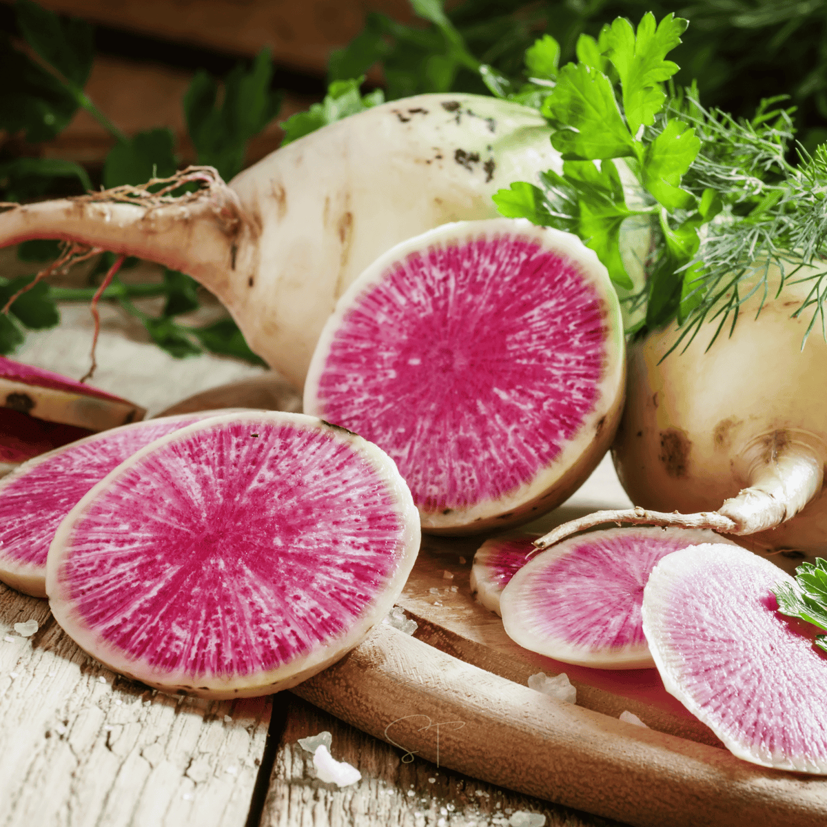Watermelon Radish – 50 Seeds