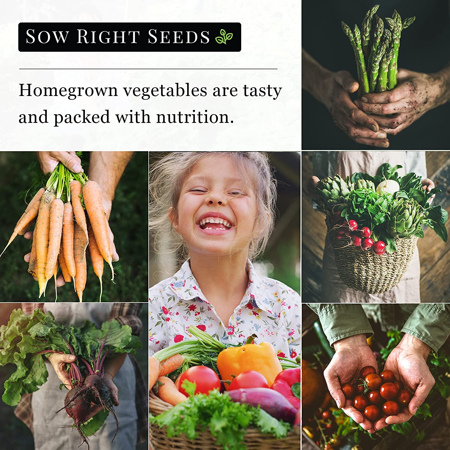 - Roma Tomato Seeds for Planting - Non-Gmo Heirloom Packet with Instructions to Plant a Home Vegetable Garden - Classic Medium Red Tomato - Great for Sauce Making (1)