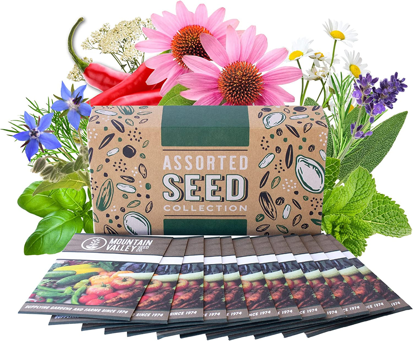 Medicinal & Herbal Tea Garden Seed Collection - Deluxe Assortment - 12 Non-Gmo Herb Seed Packets: Sage, Rosemary, Chamomile, Lavender, Peppermint, & More