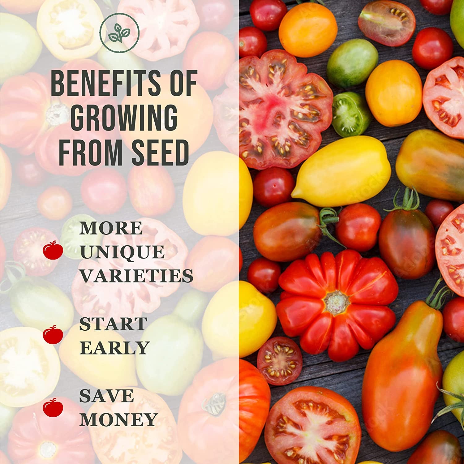 - Roma Tomato Seeds for Planting - Non-Gmo Heirloom Packet with Instructions to Plant a Home Vegetable Garden - Classic Medium Red Tomato - Great for Sauce Making (1)