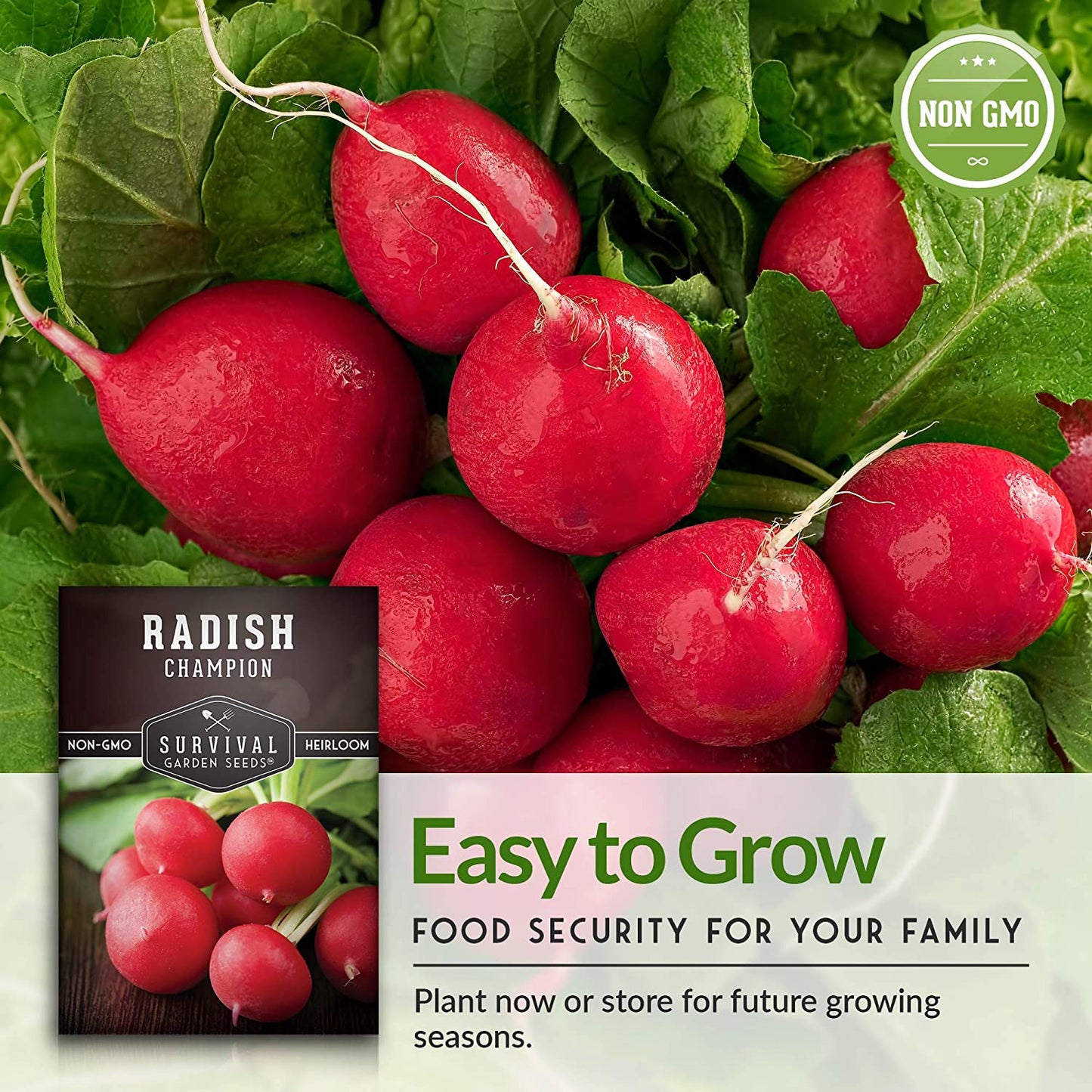 - Champion Radish Seed for Planting - Packet with Instructions to Plant and Grow Red Radishes in Your Home Vegetable Garden - Non-Gmo Heirloom Variety