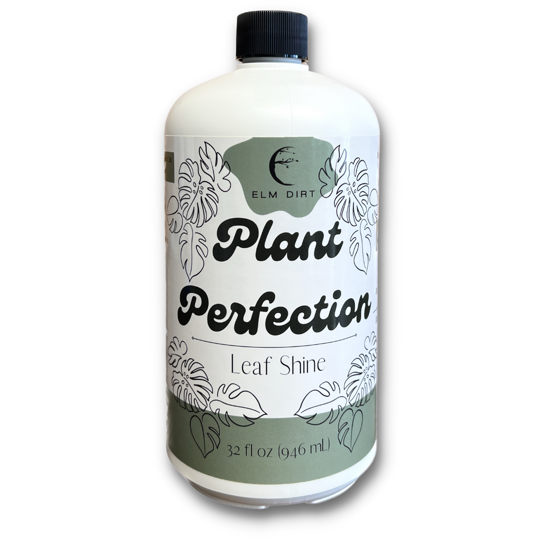 Plant Perfection by Elm Dirt