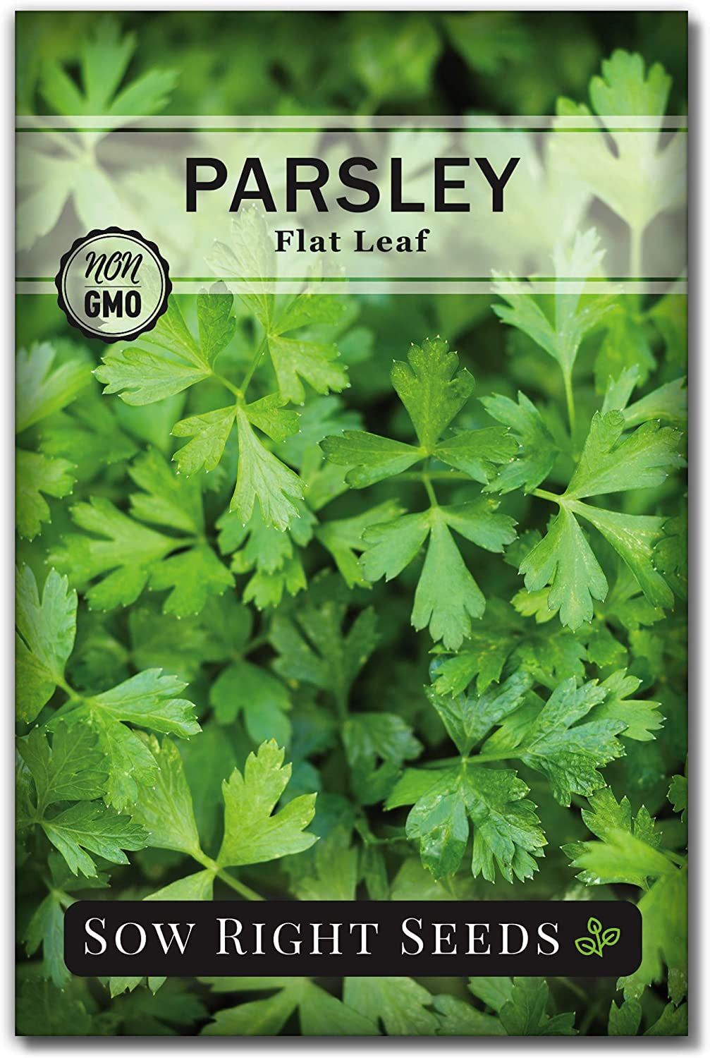 - Flat Leaf Parsley Seed for Planting - Non-Gmo Heirloom - Instructions to Plant and Grow a Kitchen Herb Garden, Indoor or Outdoor; Great Gardening Gift (1)
