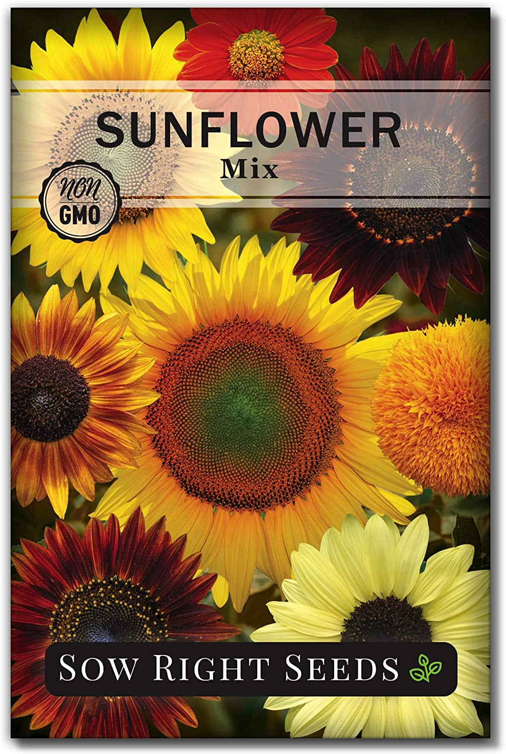 - Mixed Sunflower Seeds for Planting - Non-Gmo Heirloom Packet with Instructions - Great Wedding or Party Favor - Grow Giant Sunflowers in an Assortment of Bright, Unique Colors(1)