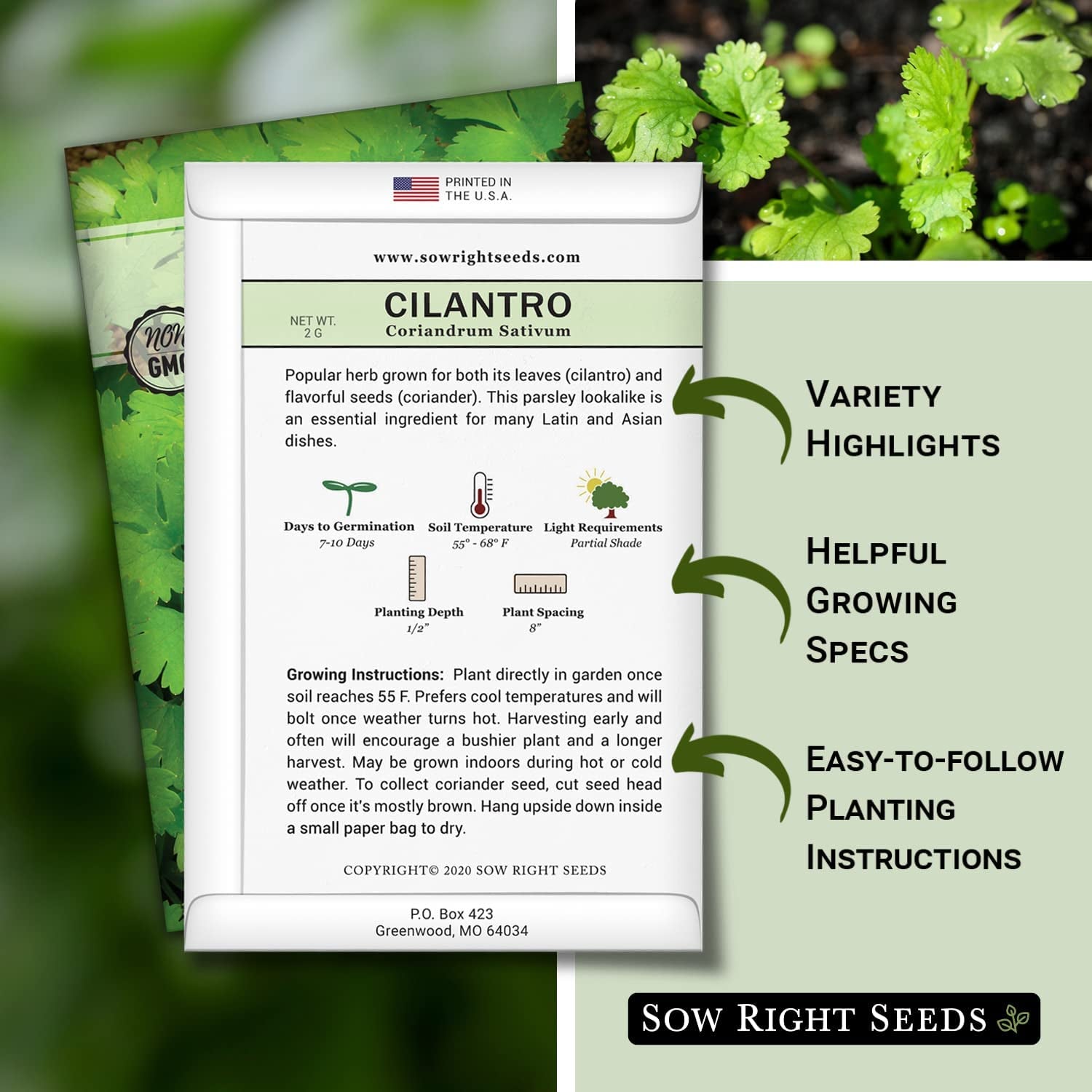 - Cilantro Seeds for Planting - Non-Gmo Heirloom Packet with Instructions to Grow a Kitchen Herb Garden - Great Addition to Your Cooking - Make Coriander Seasoning - Zesty Herb (1)