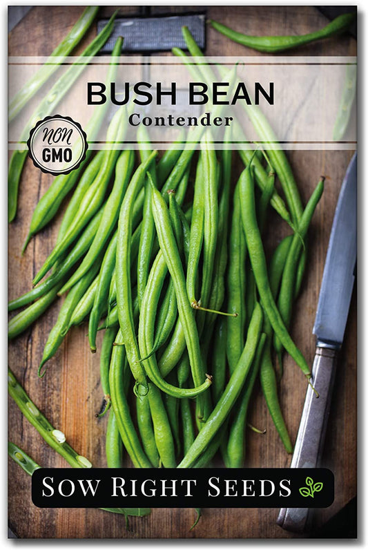 - Contender Bush Bean Seeds for Planting - Non-Gmo Heirloom Packet with Instructions to Plant a Home Vegetable Garden - Stringless Variety - Abundant Harvest, Great for Kids (1)