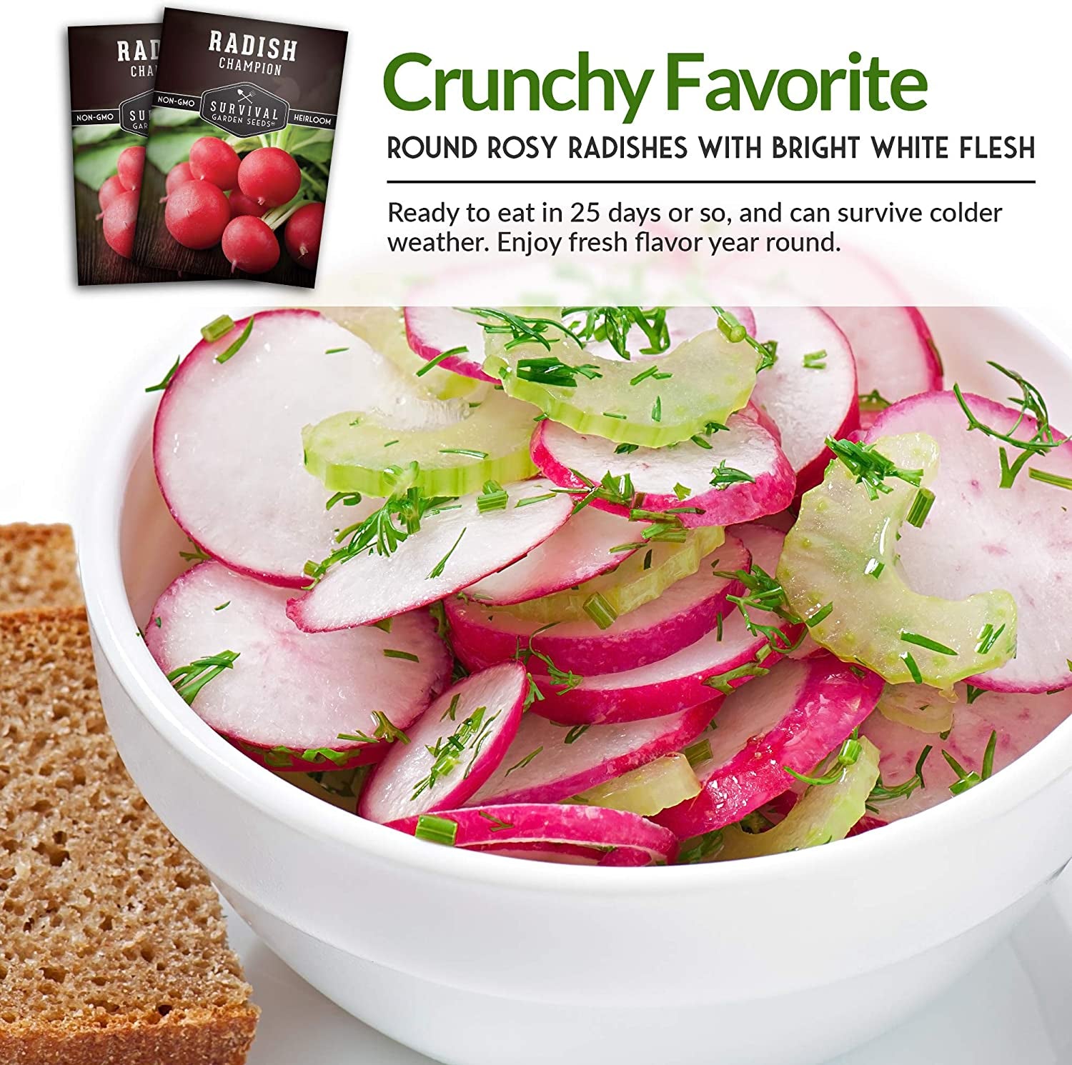 - Champion Radish Seed for Planting - Packet with Instructions to Plant and Grow Red Radishes in Your Home Vegetable Garden - Non-Gmo Heirloom Variety