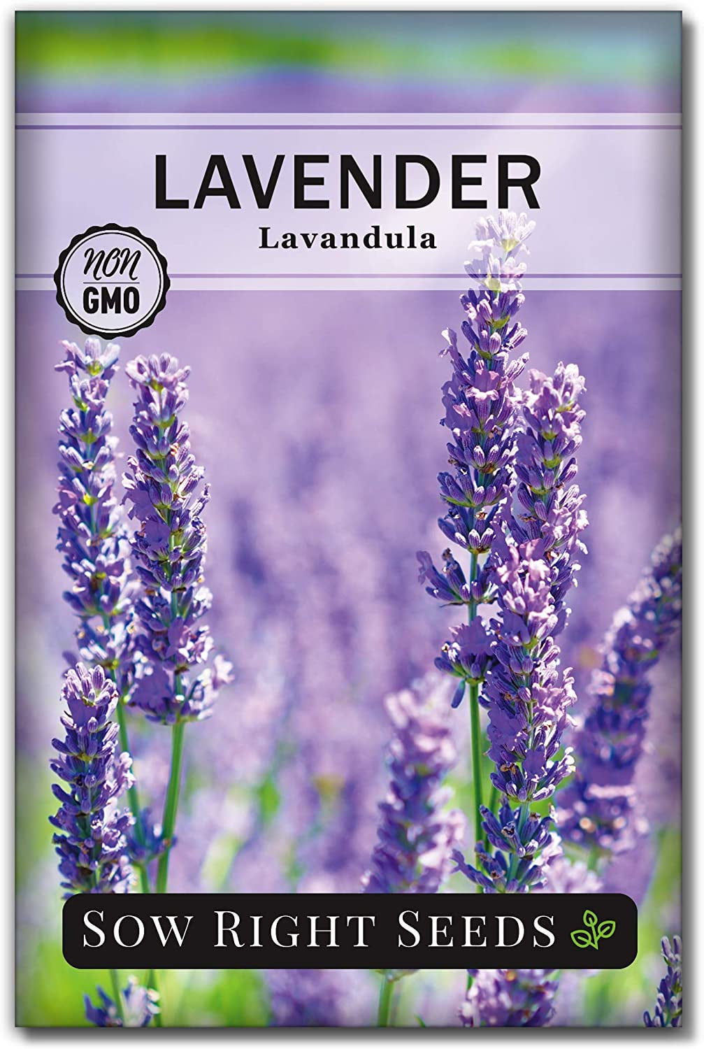 - Lavender Seeds for Planting - Non-Gmo Heirloom Packet with Instructions to Grow a Beautiful Indoor or Outdoor Herb Garden - Attract Pollinators - Perennial Light Purple Blooms (1)