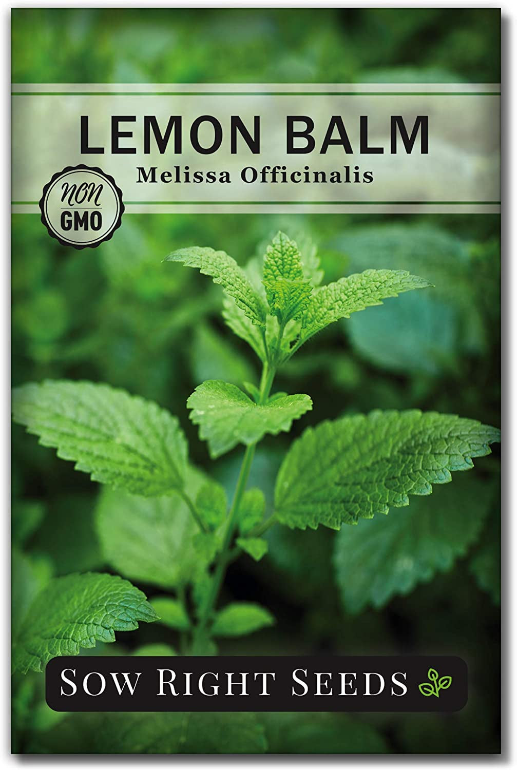 - Herbal Tea Collection - Lemon Balm, Chamomile, Peppermint, Lavender, Echinacea Herb Seed for Planting; Non-Gmo Heirloom Seed, Instructions to Plant Indoor or Outdoor; Gardening Gift
