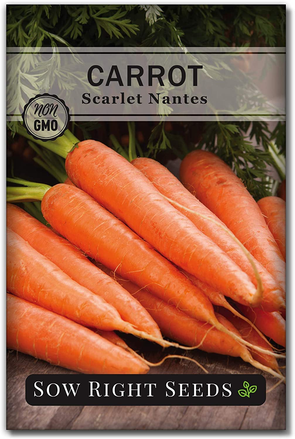 - Scarlet Nantes Carrot Seed for Planting - Non-Gmo Heirloom Packet with Instructions to Plant a Home Vegetable Garden - Indoors or Outdoor - Sweet and Vibrant Variety (1)