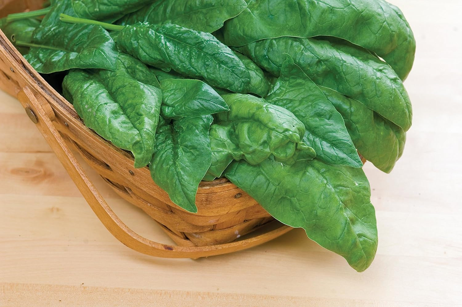Bloomsdale Long Standing Spinach Seeds 1000 Seeds