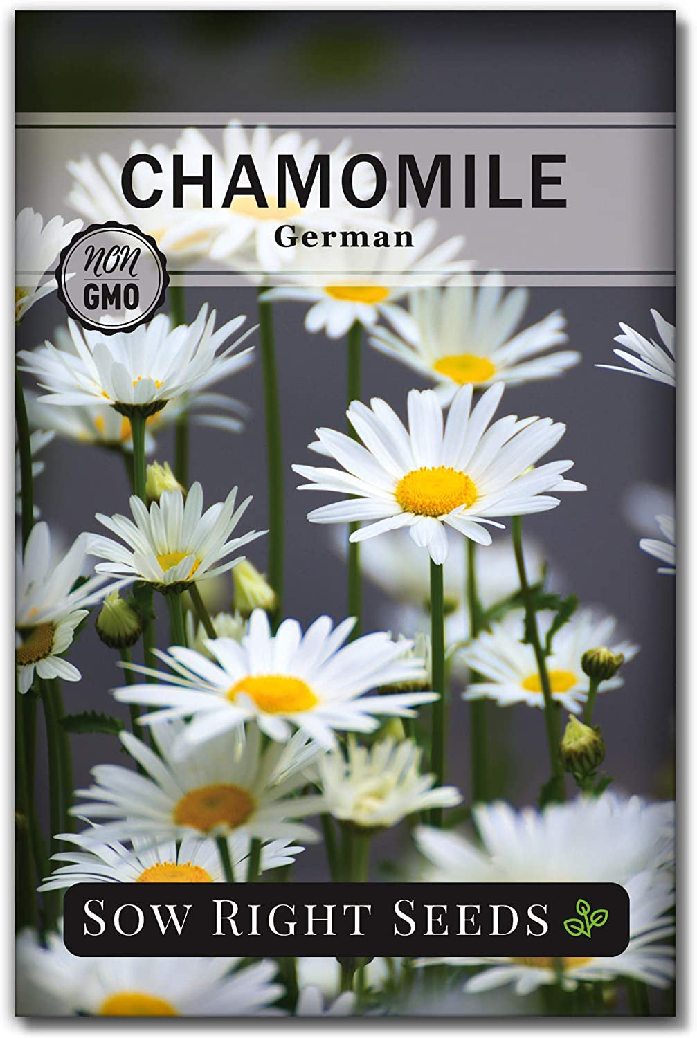 - Herbal Tea Collection - Lemon Balm, Chamomile, Peppermint, Lavender, Echinacea Herb Seed for Planting; Non-Gmo Heirloom Seed, Instructions to Plant Indoor or Outdoor; Gardening Gift