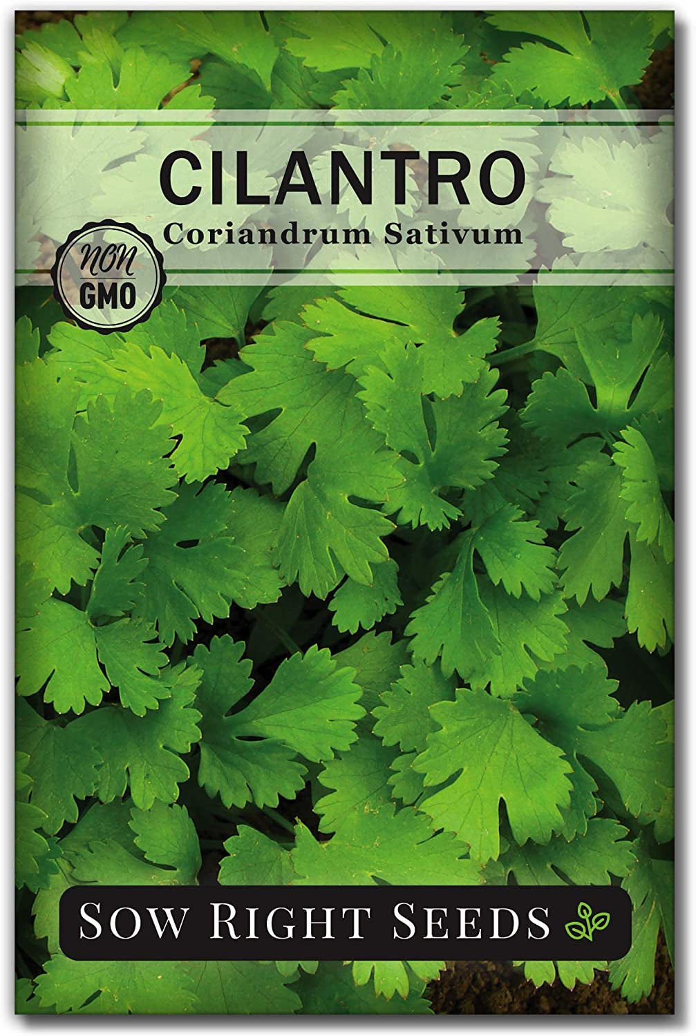 - 5 Herb Seed Collection for Planting - Genovese Basil, Chives, Cilantro, Italian Parsley, and Oregano to Plant and Grow a Home Vegetable Garden - Fresh Assortment Herbal Variety Pack