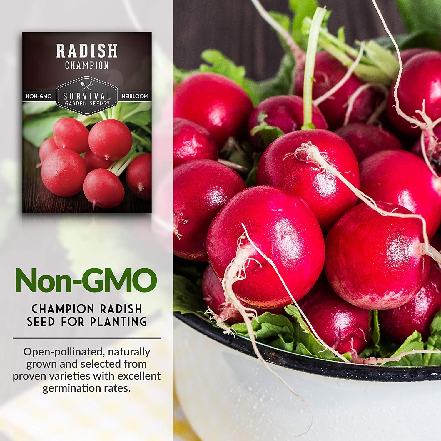 - Champion Radish Seed for Planting - Packet with Instructions to Plant and Grow Red Radishes in Your Home Vegetable Garden - Non-Gmo Heirloom Variety