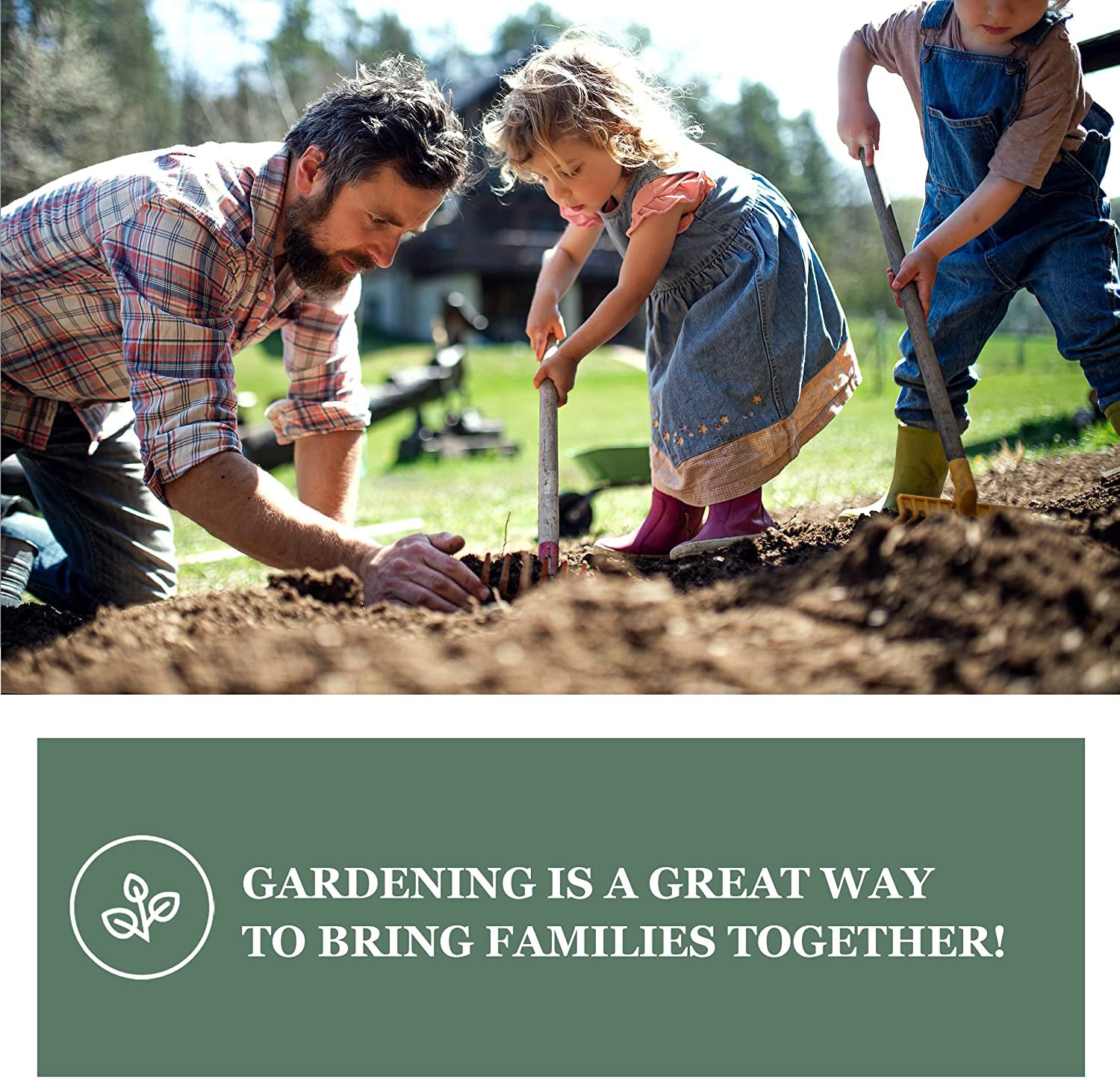 - Roma Tomato Seeds for Planting - Non-Gmo Heirloom Packet with Instructions to Plant a Home Vegetable Garden - Classic Medium Red Tomato - Great for Sauce Making (1)