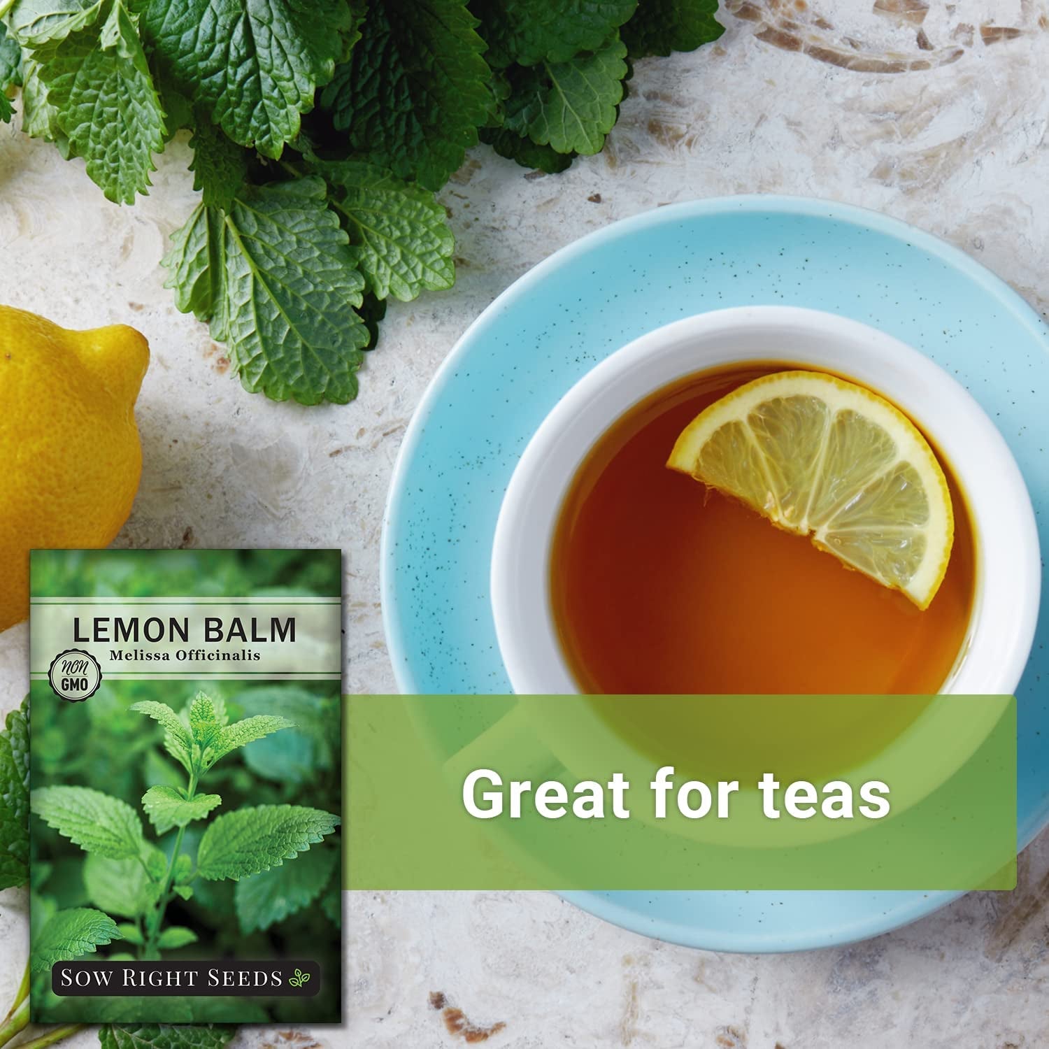 - Lemon Balm Seeds for Planting - Non-Gmo Heirloom Packet with Instructions - Easy to Grow Herb Garden - Aromatic Medicinal Herb and Great for Herbal Teas - Perennial Mint Relative