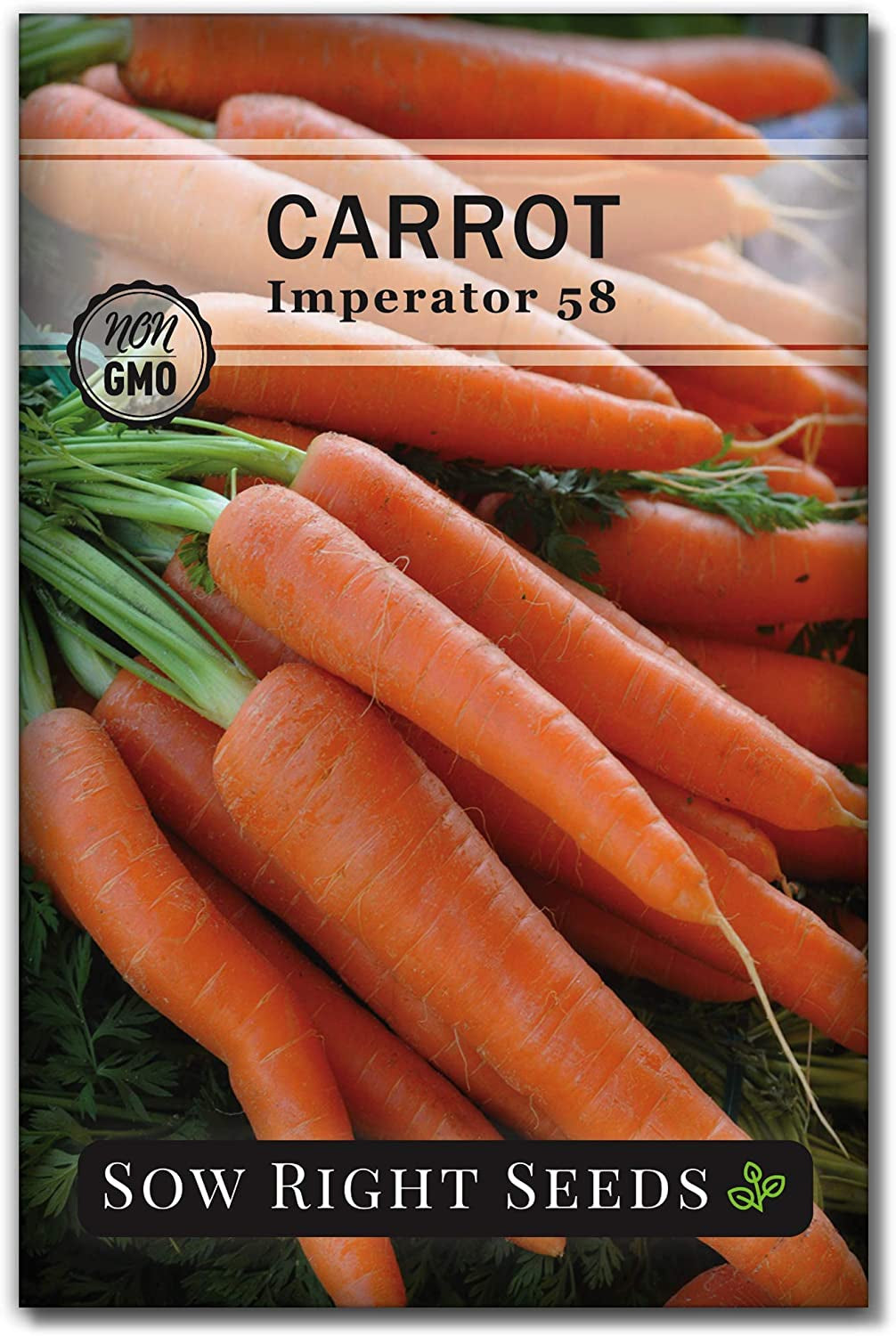 - Imperator 58 Carrot Seed for Planting - Non-Gmo Heirloom Packet with Instructions to Plant a Home Vegetable Garden - Indoors or Outdoors - Long Variety, Super Sweet (1)