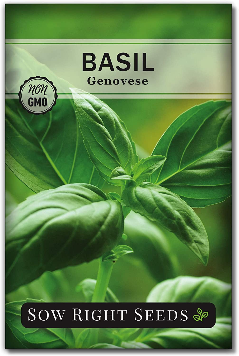 - Genovese Sweet Basil Seed for Planting - Heirloom, Non-Gmo with Instructions to Plant and Grow a Kitchen Herb Garden - Great Gardening Gift - Minimum of 500Mg per Packet (1)