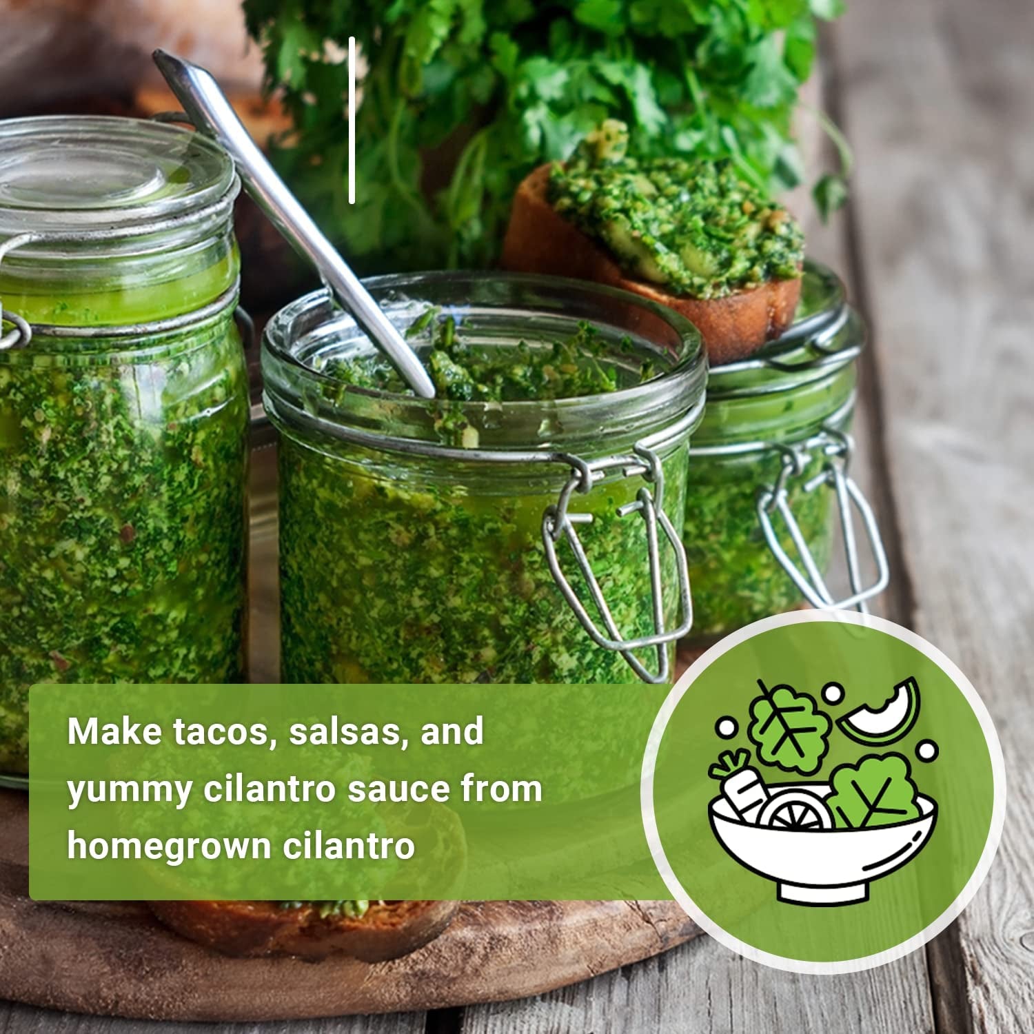 - Cilantro Seeds for Planting - Non-Gmo Heirloom Packet with Instructions to Grow a Kitchen Herb Garden - Great Addition to Your Cooking - Make Coriander Seasoning - Zesty Herb (1)